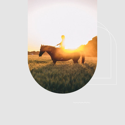 Pferd