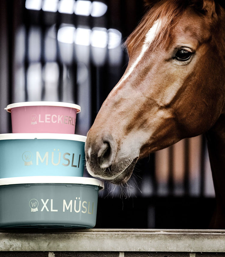 Leckerli-Schale mit Deckel 2 L