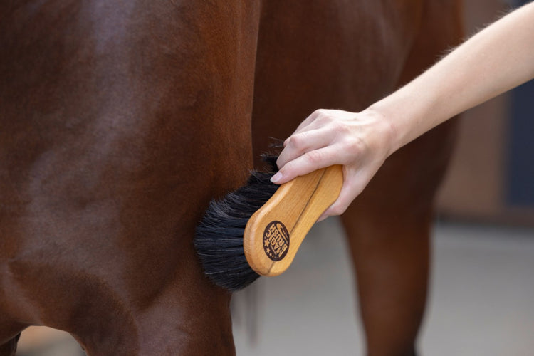 Magic Brush Reinigungsbürste