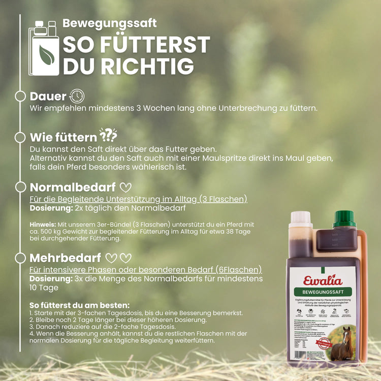 Bewegungssaft für Pferde