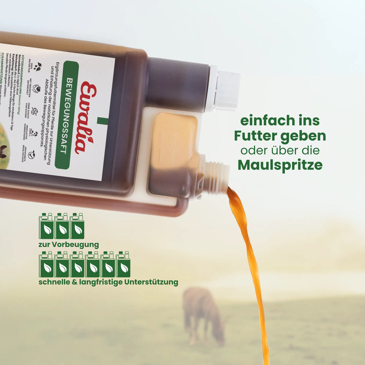 Bewegungssaft für Pferde