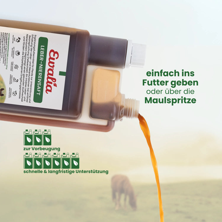 Leber-Nierensaft für Pferde