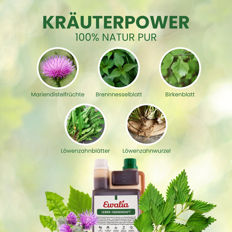 Leber-Nierensaft für Pferde