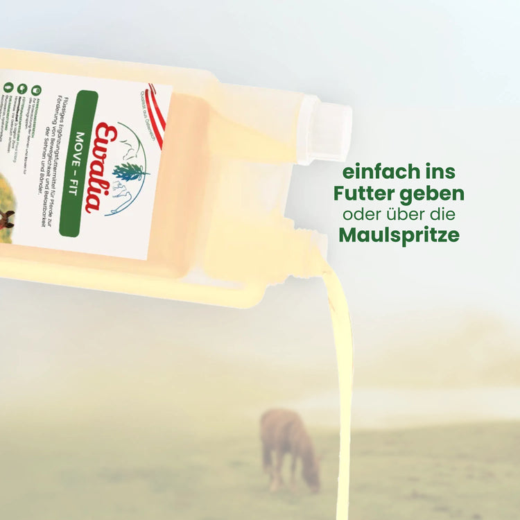 Move - Fit für Pferde