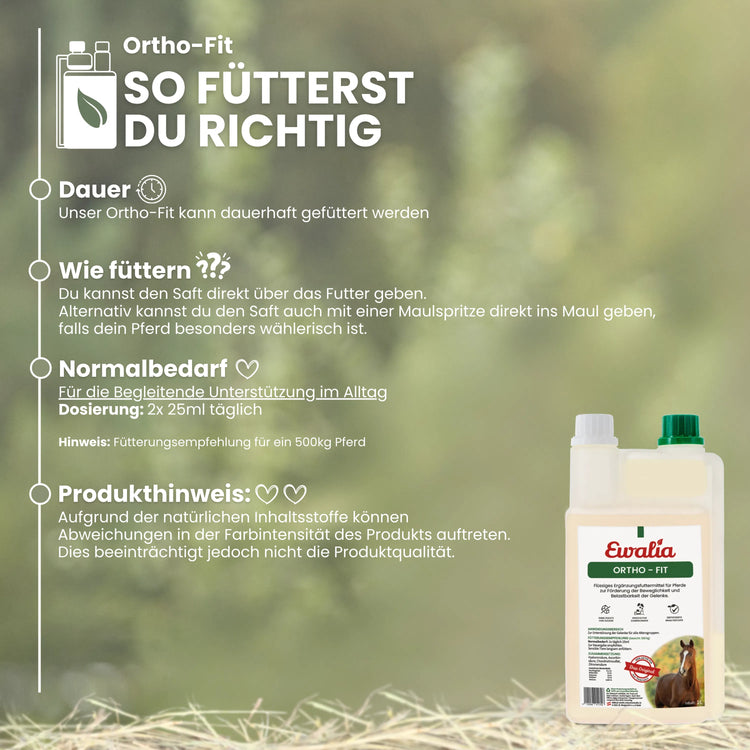 Ortho - Fit für Pferde