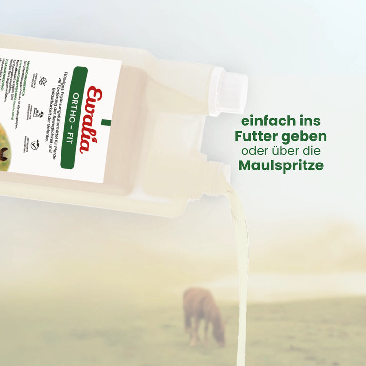 Ortho - Fit für Pferde