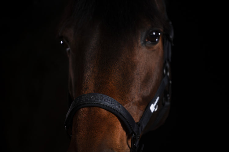 Halfter Sparkle Double Pin Dynamic