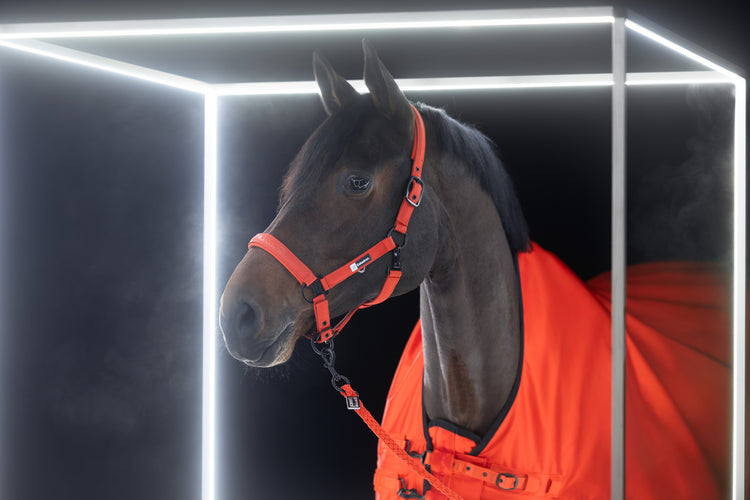 Halfter Sparkle Double Pin Dynamic