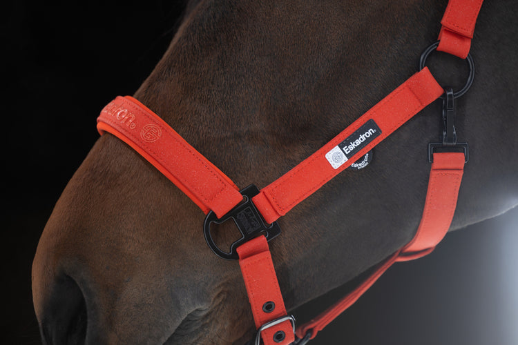 Halfter Sparkle Double Pin Dynamic