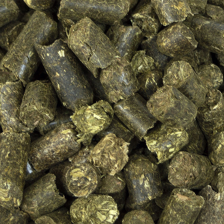 SPEED Goodietube Leckerlibox