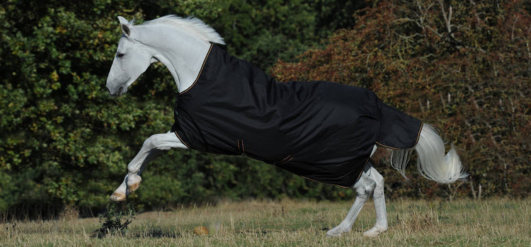 Bucas Irish Turnout 250g