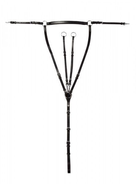 Vorderzeug Coventry Platin