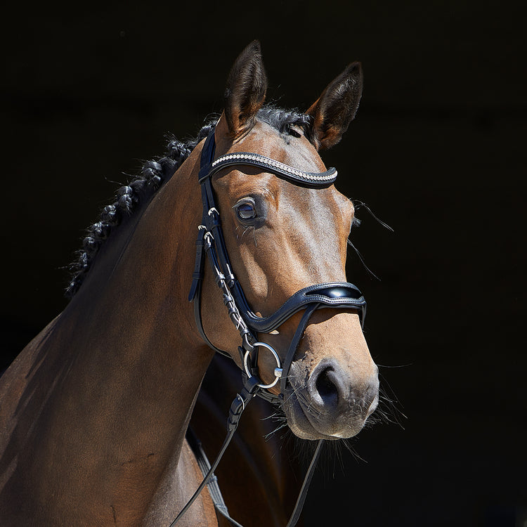 Kieffer Trense Softech Line Anouk