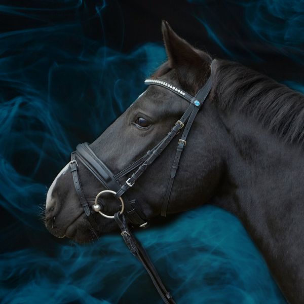 Kieffer Trense Essentials Lara