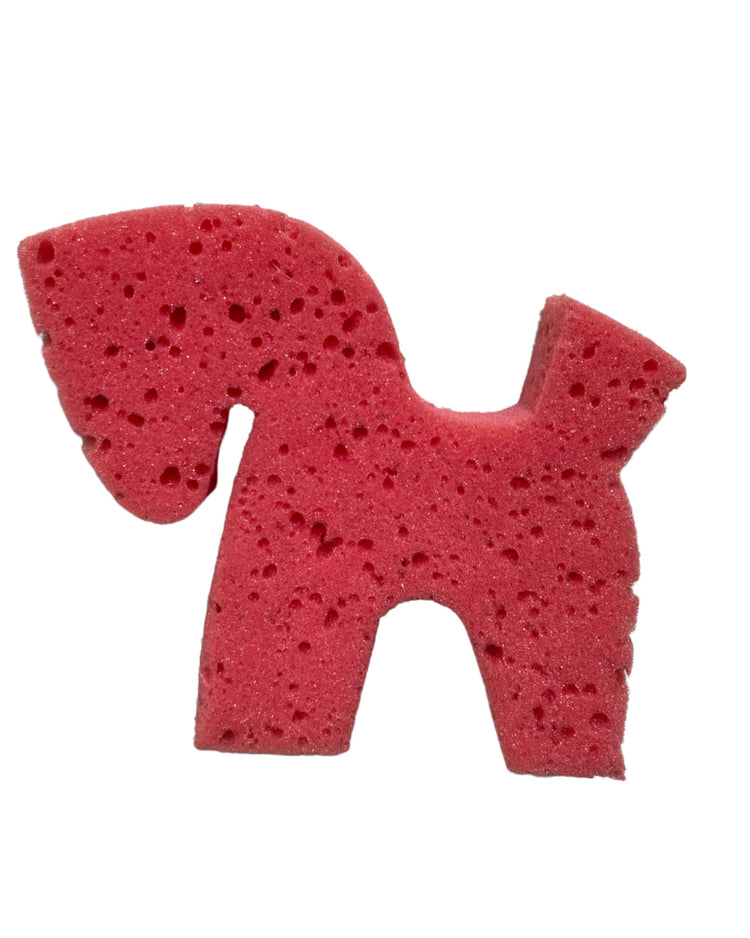 Schwamm Pferdchen
