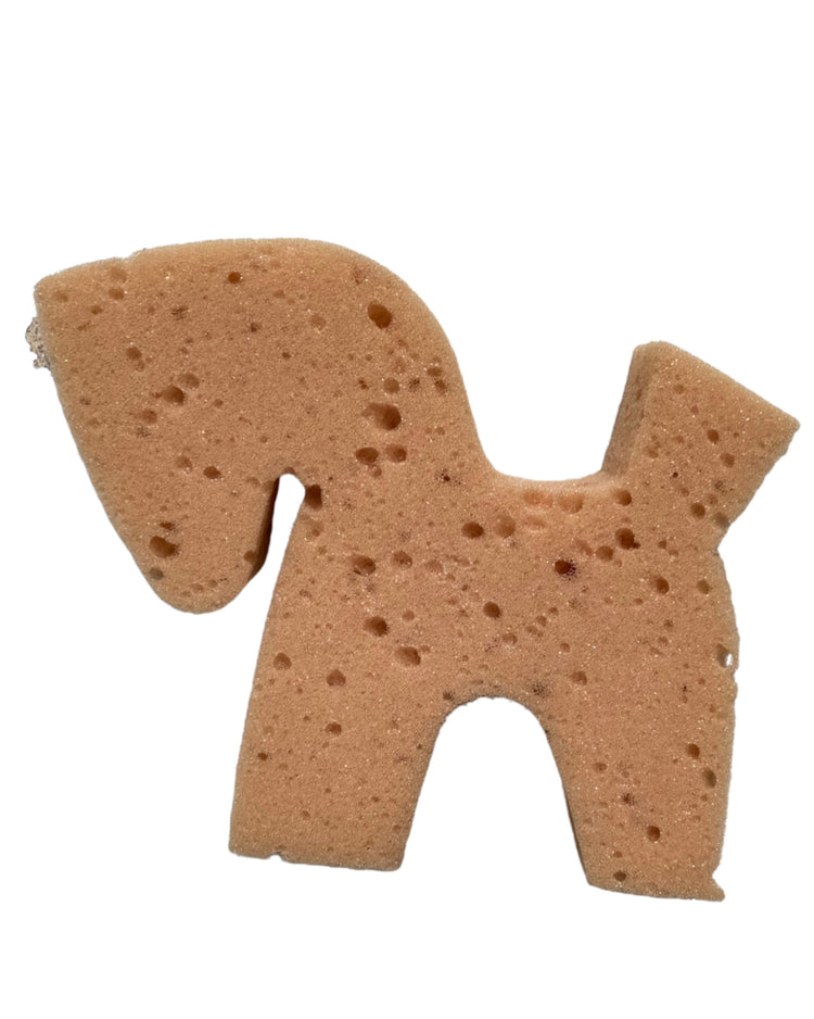 Schwamm Pferdchen