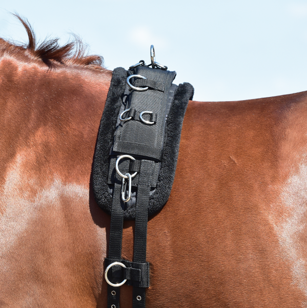 Longiergurtunterlage PLUSH