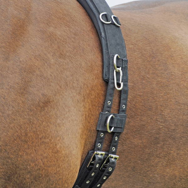 Longiergurt Profi-Soft