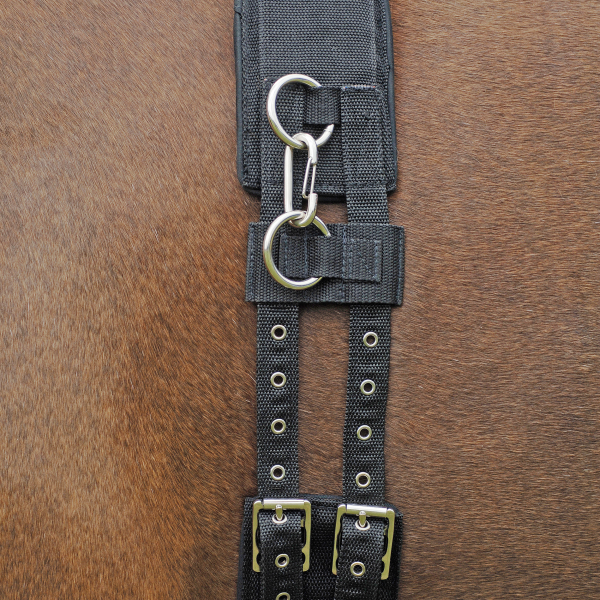 Longiergurt Profi-Soft