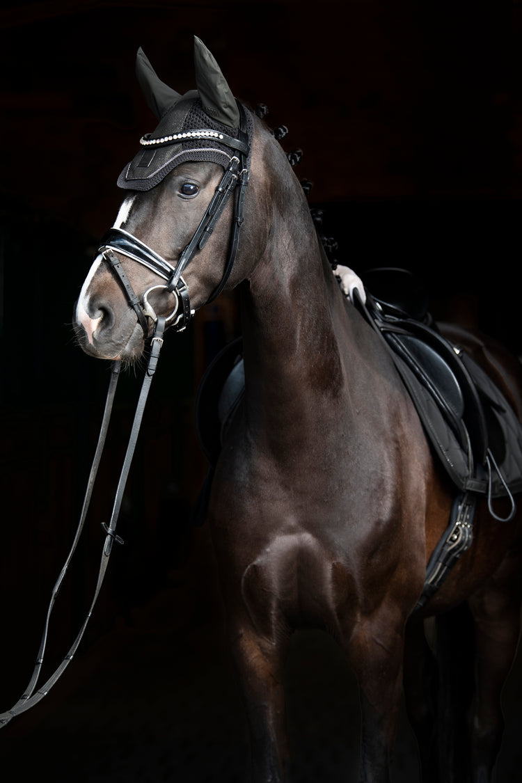 Fliegenkopfschutz Glitter Mesh Sport Essence