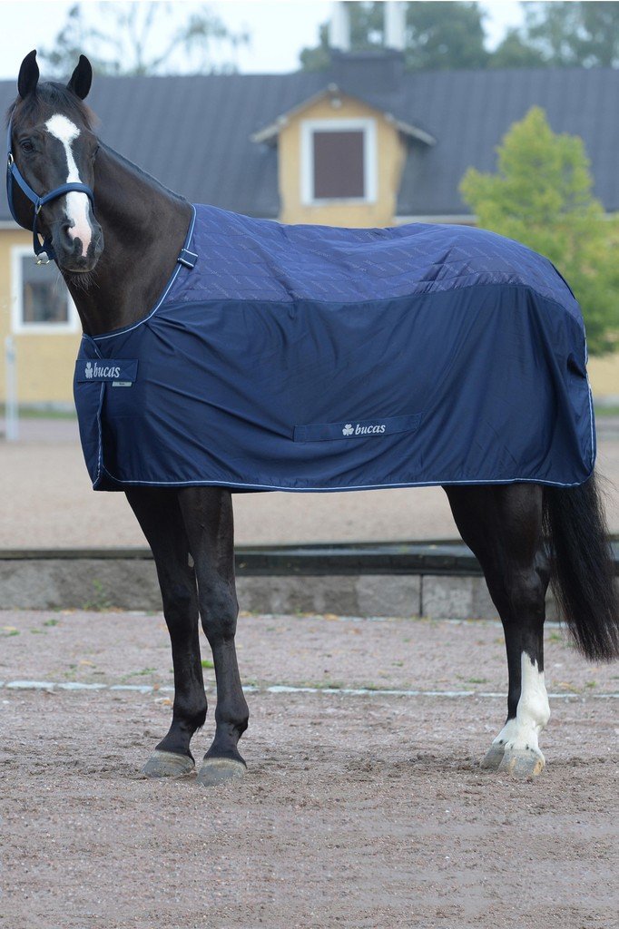 Bucas Recuptex Therapie Cooler