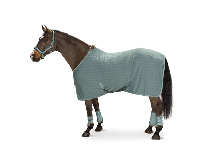 Eskadron Fliegendecke Cooler Fly