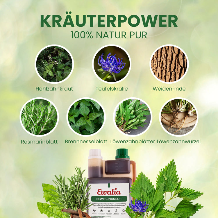 Bewegungssaft für Pferde
