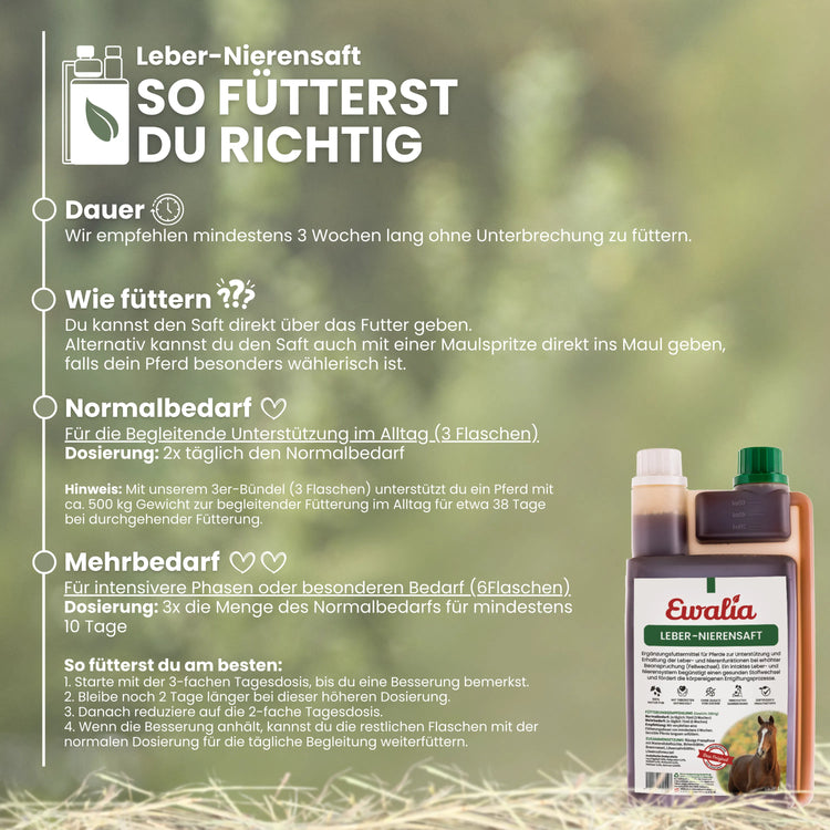 Leber-Nierensaft für Pferde