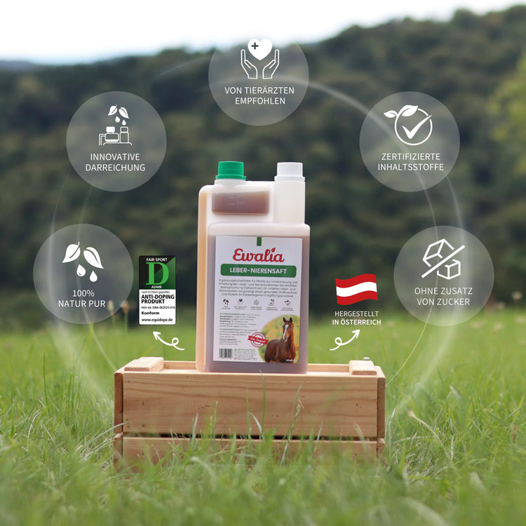 Leber-Nierensaft für Pferde