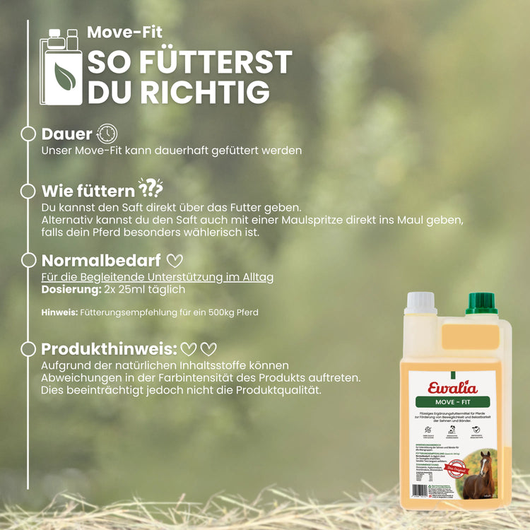 Move - Fit für Pferde