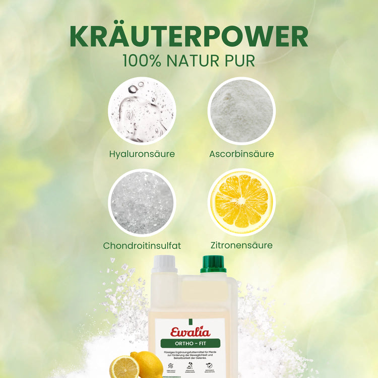 Ortho - Fit für Pferde