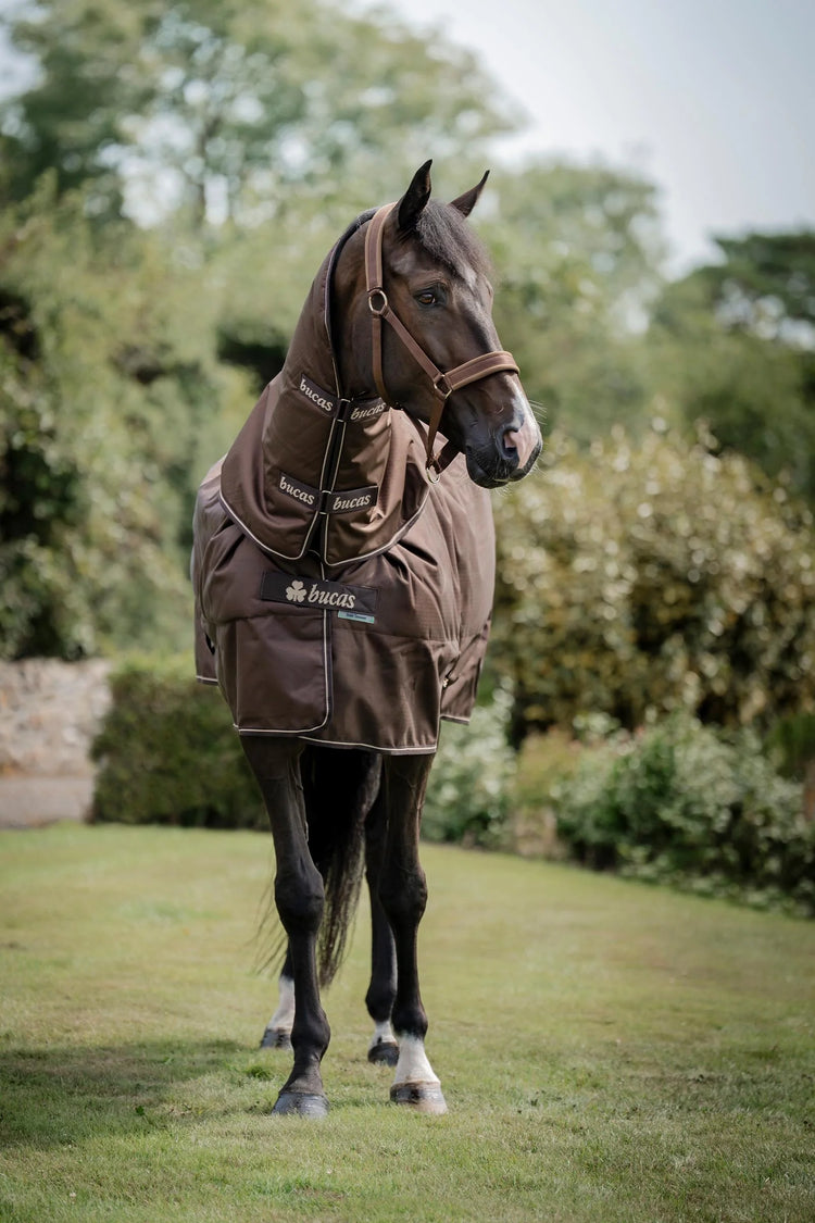 Irish Turnout Neck