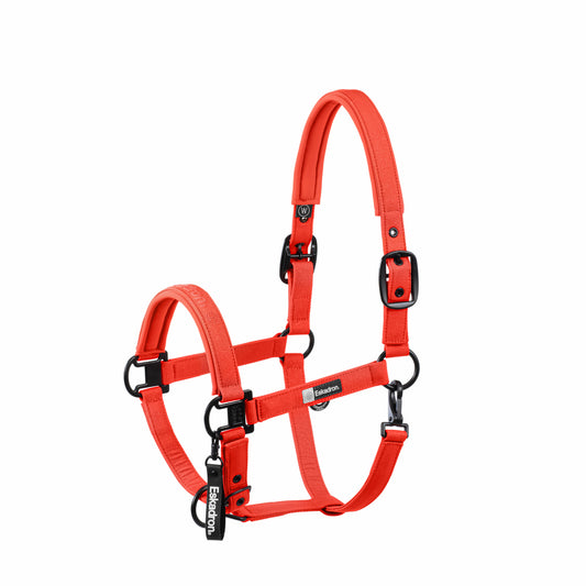 Halfter Sparkle Double Pin Dynamic