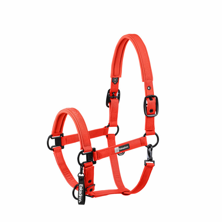Halfter Sparkle Double Pin Dynamic